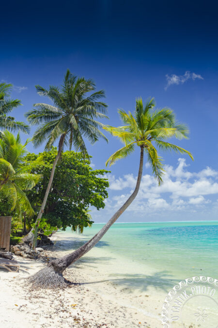 Haapu - Huahine